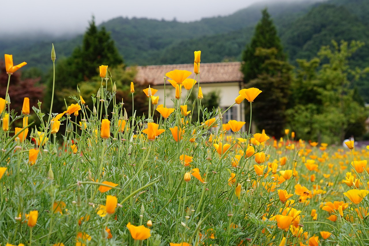 百纵科技实名账号：如何防止实名账号被黑客攻击