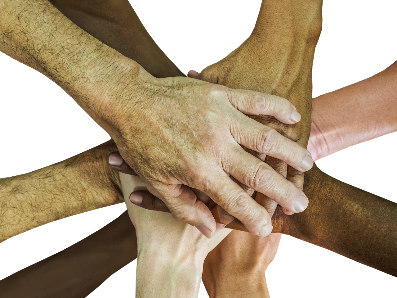 阿凡提香蕉：海淀代理申报平台