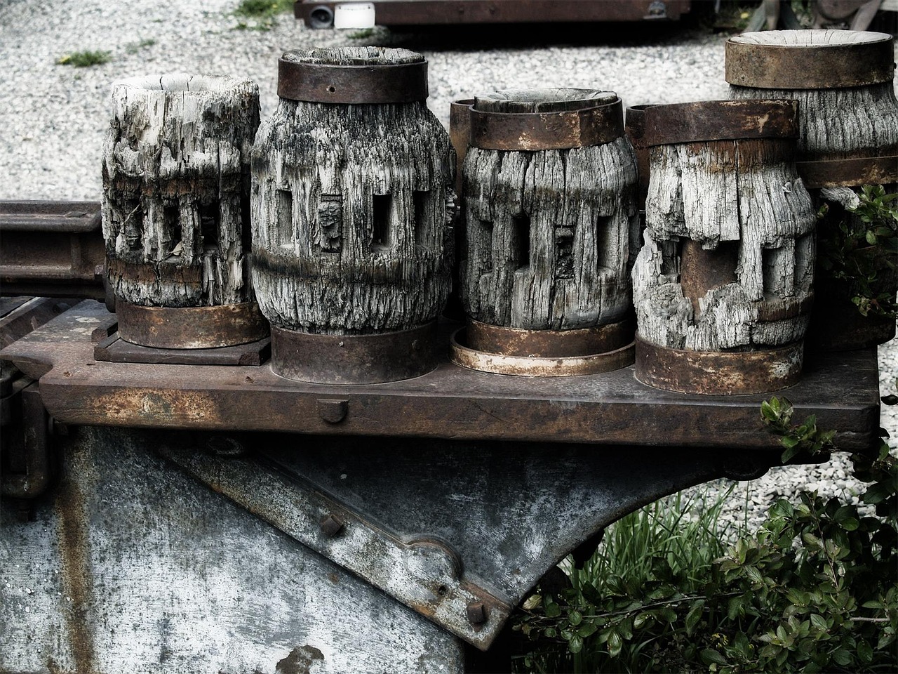 Night Walker（夜行者）：临安公司代理注册