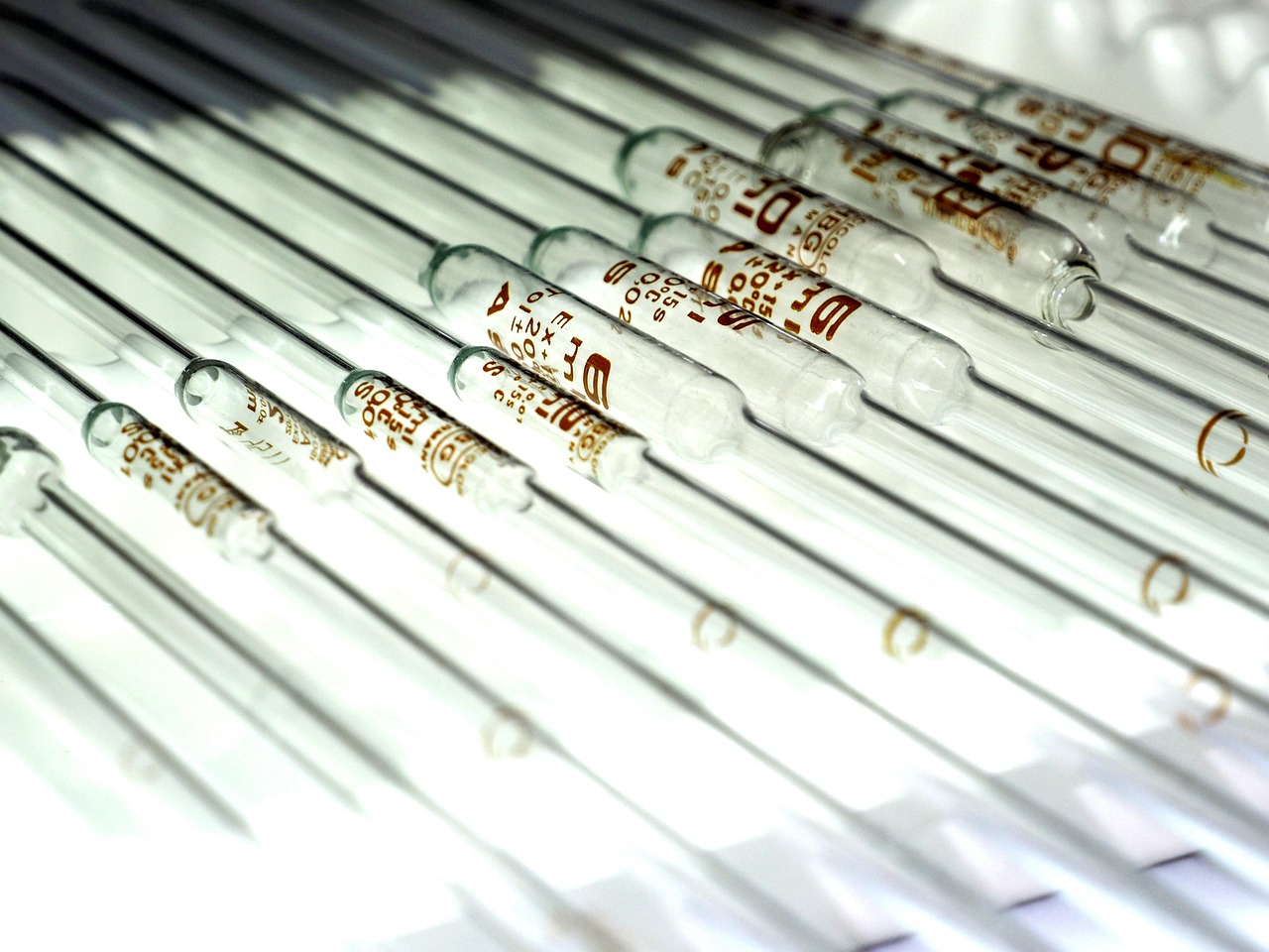 意昂团队竞技购买竞彩蓝篮球的平台