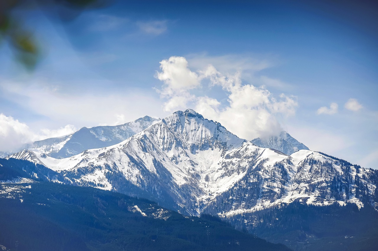 澳门高希霸俱乐部(50支):网站平台代理招商