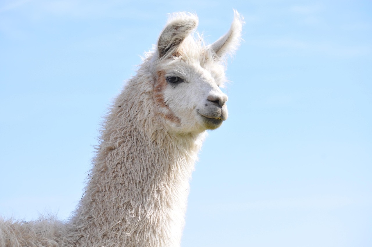 恒越5 Strategies for Creating Effective Landing Pages