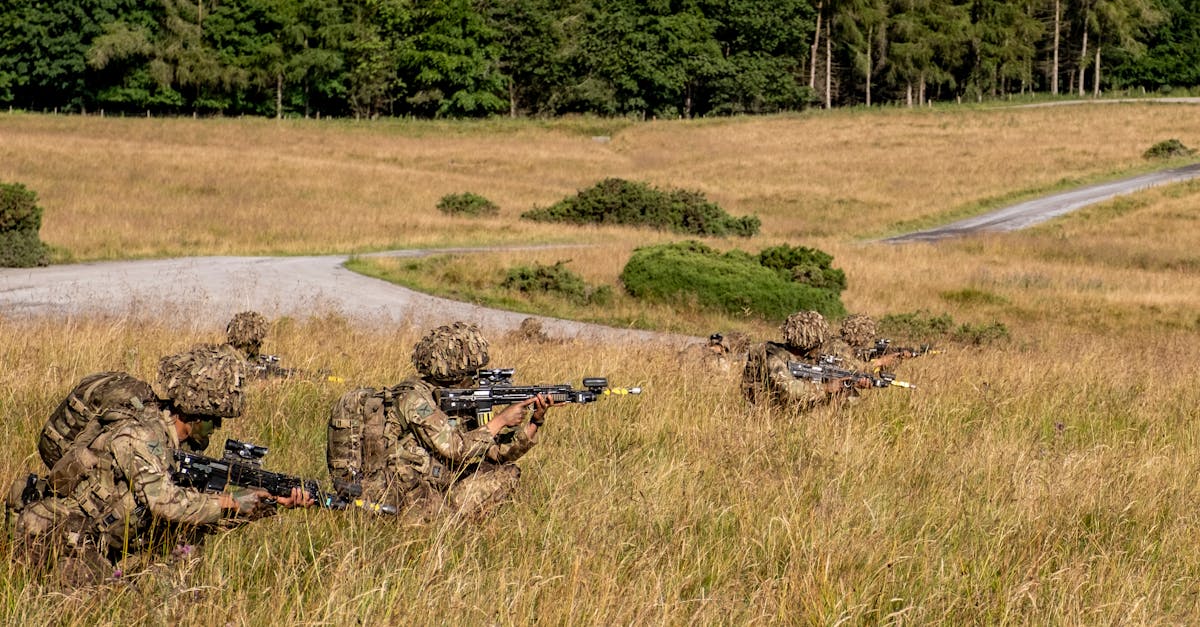 海鸥实名账号：电商平台开户质检